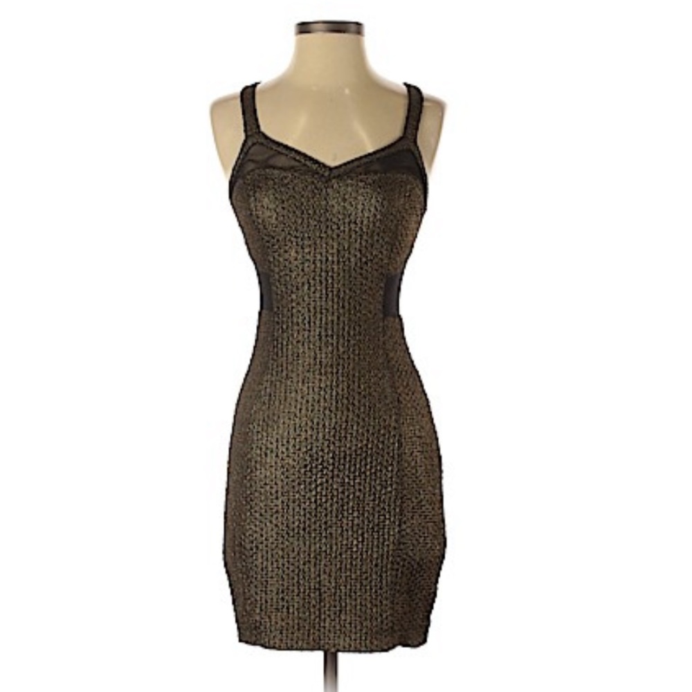 Express Bodycon Dress